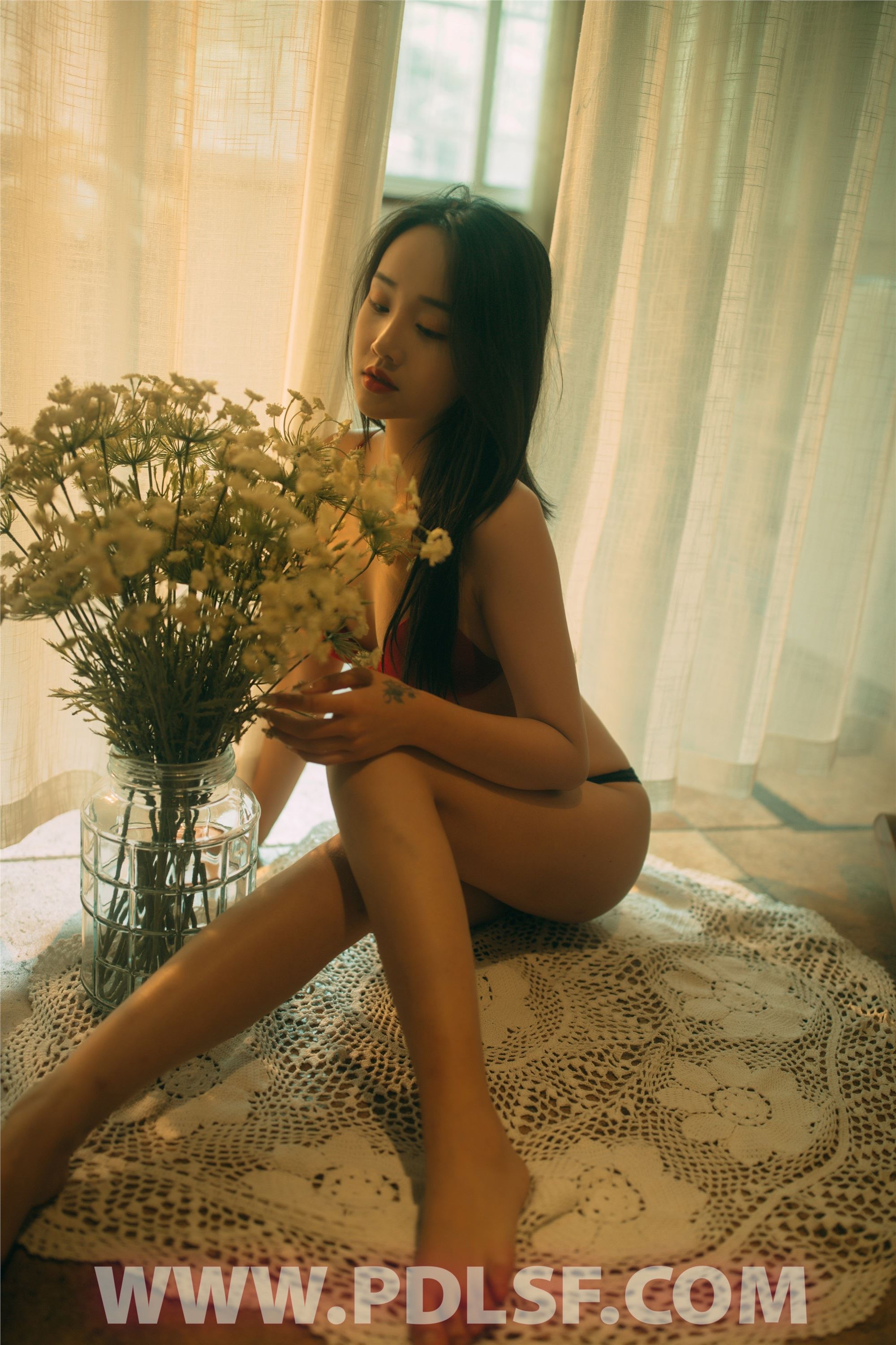 PDL潘多拉 2020.05.02 专辑No.289